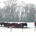 Winter in Holland, Horses in the Snow, Zutphen - 0958