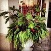 Arrangements - Outdoor holiday arrangements at Anne's on the Avenue #christmasiscoming