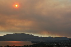Please donate - Tasmanian Bushfire Appeal (see...