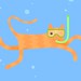 One-eyed Snorkelling Cat