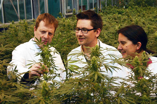 September: Cannabis research to help people with epilepsy