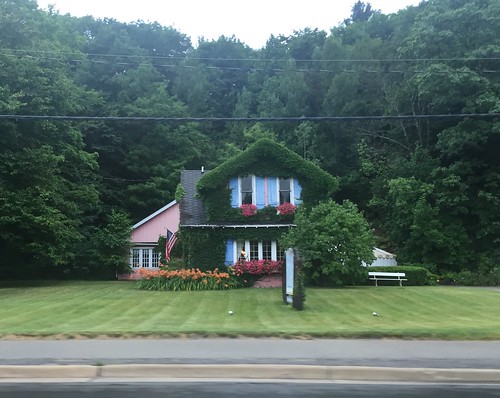 Cute ivy covered house ©  joannapoe
