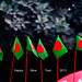 Celebrating New yr 2013 with National Flag of BANGLADESH & Wishing all Flickr Friends A Happy New Yr 2013