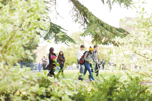 July: Whiteknights campus judged as one of the best green spaces in the country