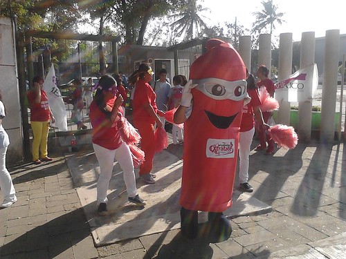 Veracruz, Mexico ICD 2013