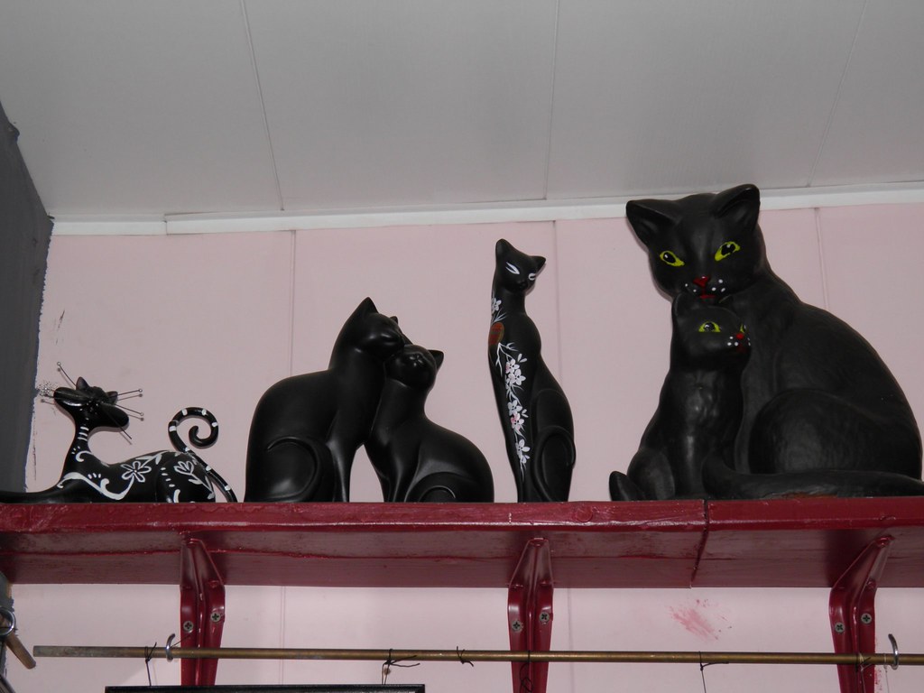 :    // Cats on shelf