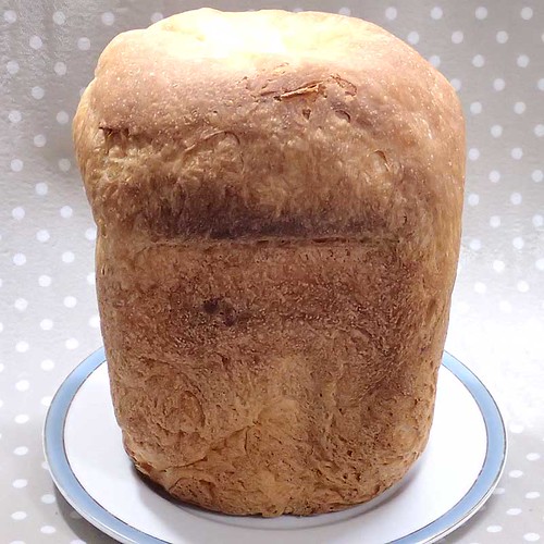 ホームベーカリーで2013年3月12日に作ったパン
