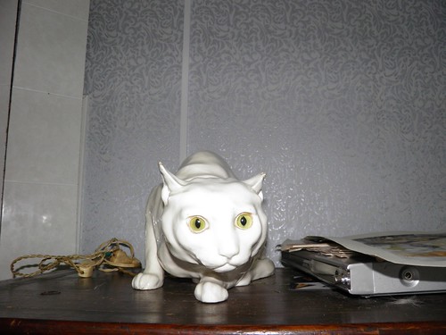   // Porcelain cat ©  alexyv