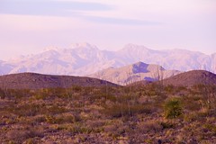  Garcia) Tags: mountain mountains landscape franklin texas desert