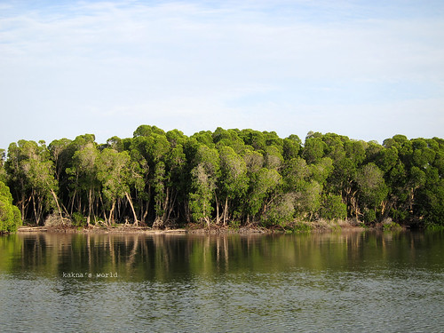 dj_mangrove ©  kakna's world