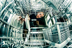 Inside the Dishwasher
