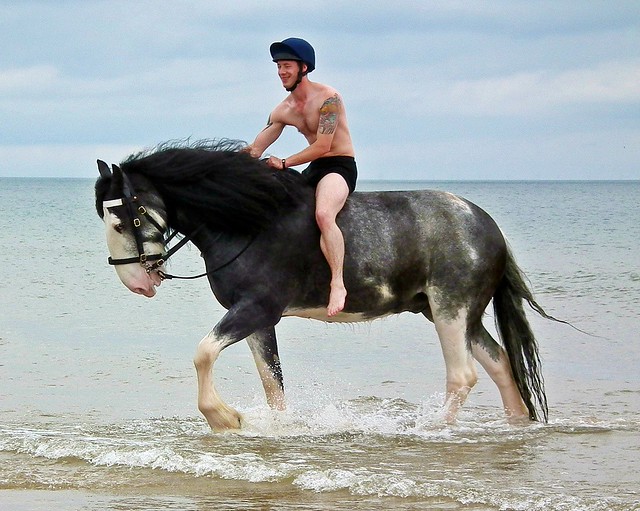 horse beach soldier mercury drum norfolk celt equestrian equine holkham householdcavalry