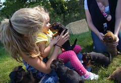 Ava and puppy 11