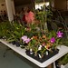 Plant table and bidder