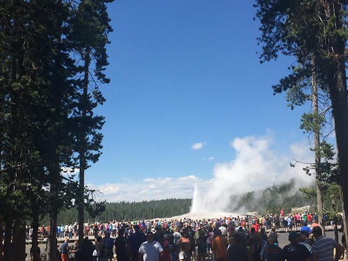 The closest I got to Old Faithful, this trip ©  joannapoe