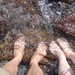 Molhando o pé nas águas congelantes do Pacífico