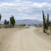 Strada sterrata nel Desierto de la Tatacoa