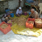 Sorting dried figs <a style="margin-left:10px; font-size:0.8em;" href="http://www.flickr.com/photos/59134591@N00/7979771829/" target="_blank">@flickr</a>