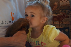 Ava and puppy 7