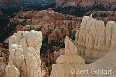 Bryce (21 of 4)