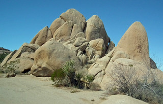 Jumbo Rocks, Joshua Tree National Monument.jpg
