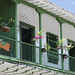 Balconi di Santa fe de Antioquia (3)