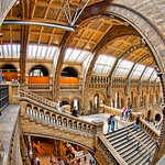 London Museum Fisheye Architecture
