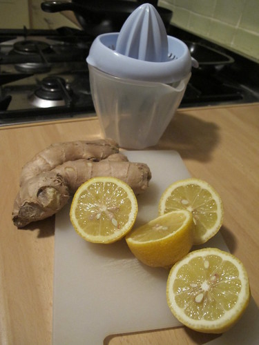 Lemon & ginger toddies for sick cats