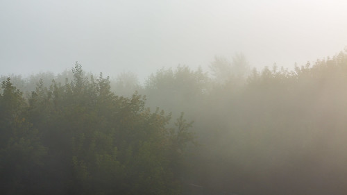 just fog ©  Dmitry Karyshev