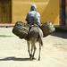 Tipico trasporto su mulo