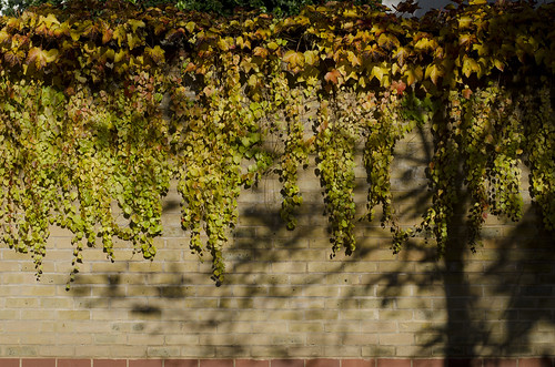 Autumn walls 2 ©  Still ePsiLoN