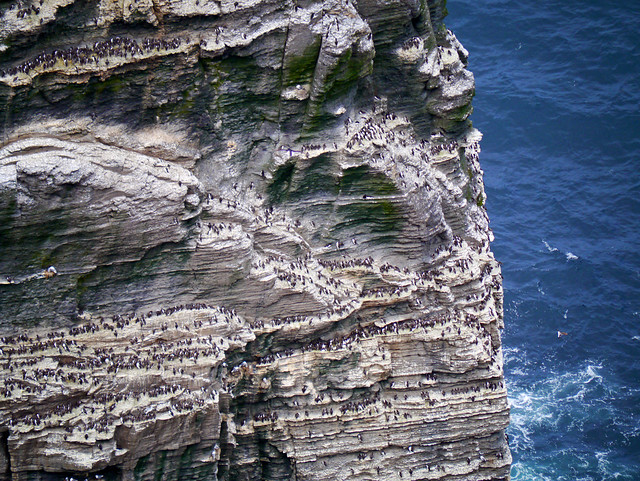 Cliffs of Moher, Co. Clare - Ireland