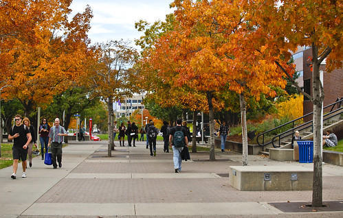 Plaza in Fall