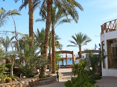 Hotel Red Sea Relax • <a style="font-size:0.8em;" href="http://www.flickr.com/photos/92957341@N07/8591695632/" target="_blank">View on Flickr</a>