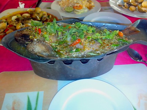 Steamed Red Snapper With Garlic, Chili And Lime Juice @ Big Wave Seafood ©  S Z