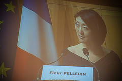 Fleur Pellerin - Séminaire "Quelles nouvelles politiques pour les Espaces publics numériques (EPN) ?"