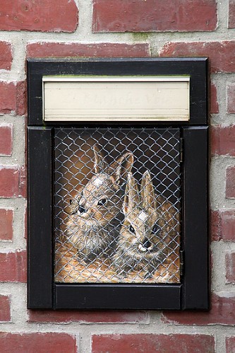 Du courrier, mes lapins ? / Got mail, bunnies? ©  OliBac