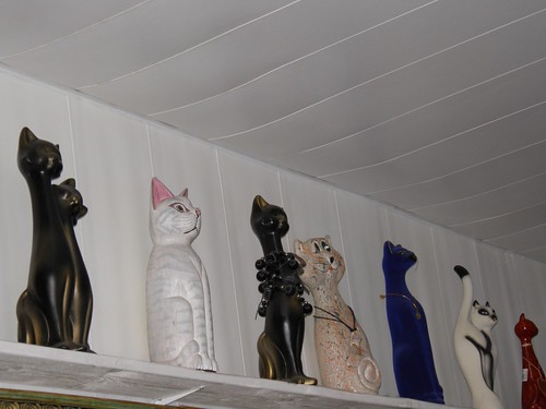    // Cats on shelf ©  alexyv