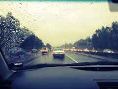 Rainy summer day in Melbourne by michelle658, on Flickr