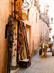 Marrakech, Medina • <a style="font-size:0.8em;" href="http://www.flickr.com/photos/92957341@N07/8458783272/" target="_blank">View on Flickr</a>
