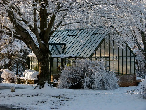 Pin By Anita On Greenhouses Sheds Victorian Manor Winter