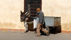 Marrakech, Medina • <a style="font-size:0.8em;" href="http://www.flickr.com/photos/92957341@N07/8457683667/" target="_blank">View on Flickr</a>