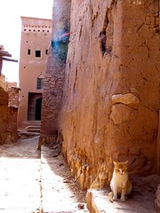 Ait Benadu, Marruecos • <a style="font-size:0.8em;" href="http://www.flickr.com/photos/92957341@N07/8458809338/" target="_blank">View on Flickr</a>