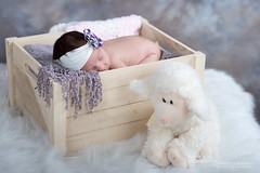 Baby Charlotte Newborn Photoshoot-093.jpg
