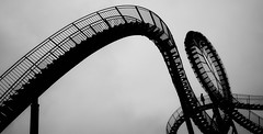 tiger and turtle_07