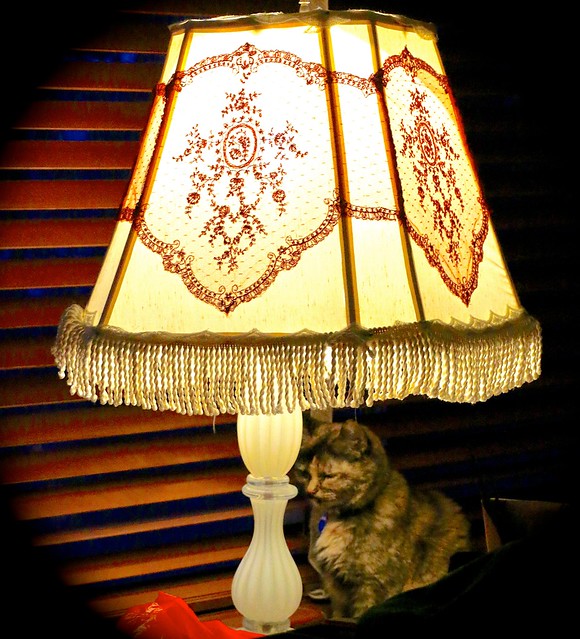 Miss Ruth And Her Warm Lamp