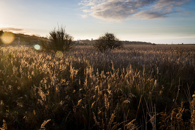 Cley Marshes; Winter Sun
