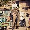 This is no low-rider, this elderly man goes to the market on the back of his elephant in Jodhpur, India. Jodhpur in known as the blue city and the 2nd biggest city in Rajasthan. #travel #traveler #traveling #wanderlust #adventure #elephant #photojournalis