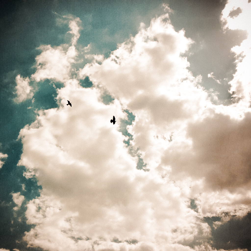 : Flying Under Clouds