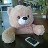 #teddy 🐻 #bear with #iphone 5s Order now: +380639977015 Viber, WhatsApp #skymall #kievblog #instakiev #igerskiev #gift 🎁 #thekievblog #медведь #мишка